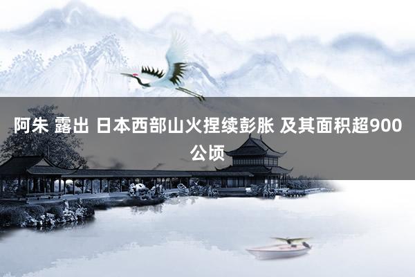 阿朱 露出 日本西部山火捏续彭胀 及其面积超900公顷