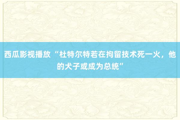 西瓜影视播放 “杜特尔特若在拘留技术死一火，他的犬子或成为总统”