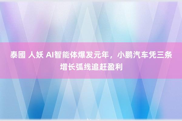泰國 人妖 AI智能体爆发元年，小鹏汽车凭三条增长弧线追赶盈利