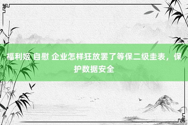 福利姬 自慰 企业怎样狂放罢了等保二级圭表，保护数据安全