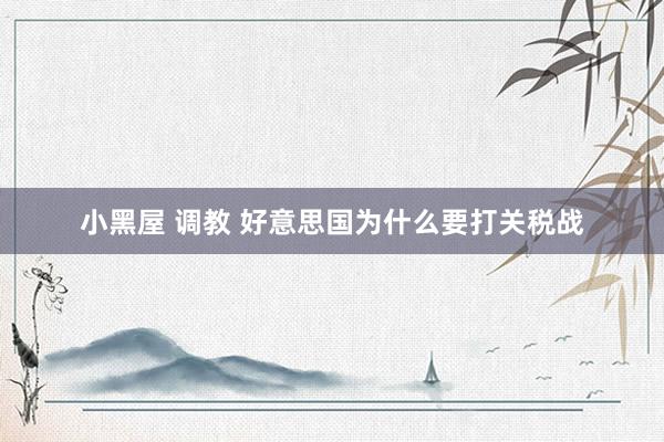 小黑屋 调教 好意思国为什么要打关税战