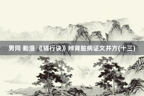 男同 動漫 《辅行诀》辨肾脏病证文并方(十三)