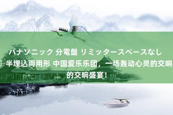 パナソニック 分電盤 リミッタースペースなし 露出・半埋込両用形 中国爱乐乐团，一场轰动心灵的交响盛宴！