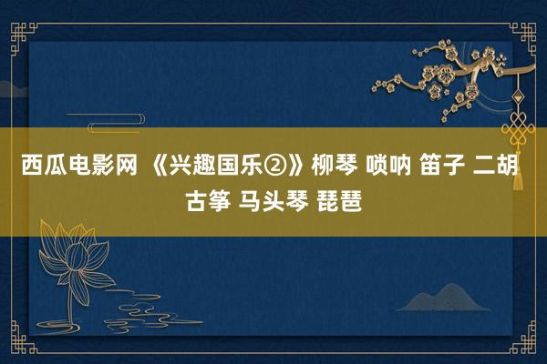 西瓜电影网 《兴趣国乐②》柳琴 唢呐 笛子 二胡 古筝 马头琴 琵琶