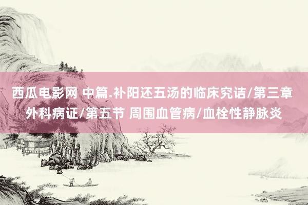 西瓜电影网 中篇.补阳还五汤的临床究诘/第三章 外科病证/第五节 周围血管病/血栓性静脉炎