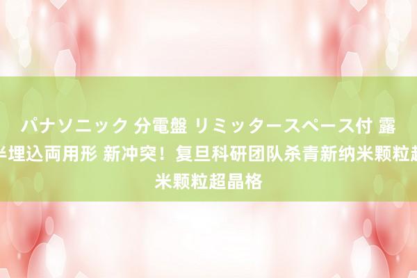 パナソニック 分電盤 リミッタースペース付 露出・半埋込両用形 新冲突！复旦科研团队杀青新纳米颗粒超晶格